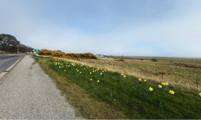 Golspie Land, Sutherland