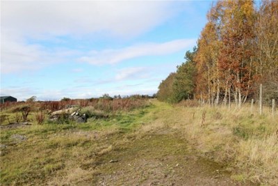 Plot At Feabuie, Culloden Moor, Inverness